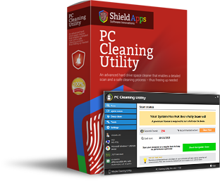 PC Cleaning Utility - 12 Months license